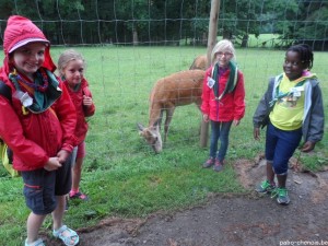 Forestia (3)